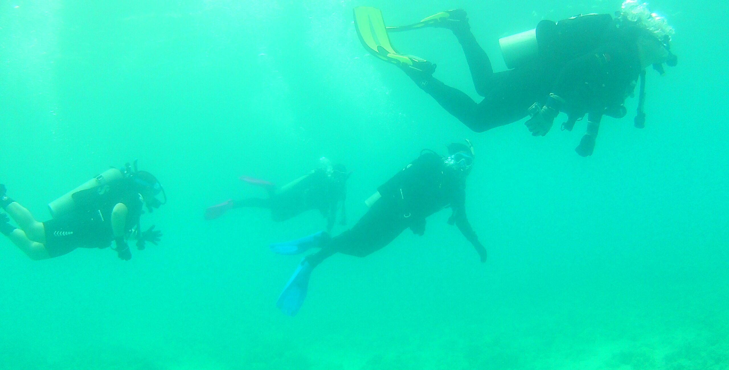 A group of Alma College Students scuba diving during a spring term course in Hawaii.