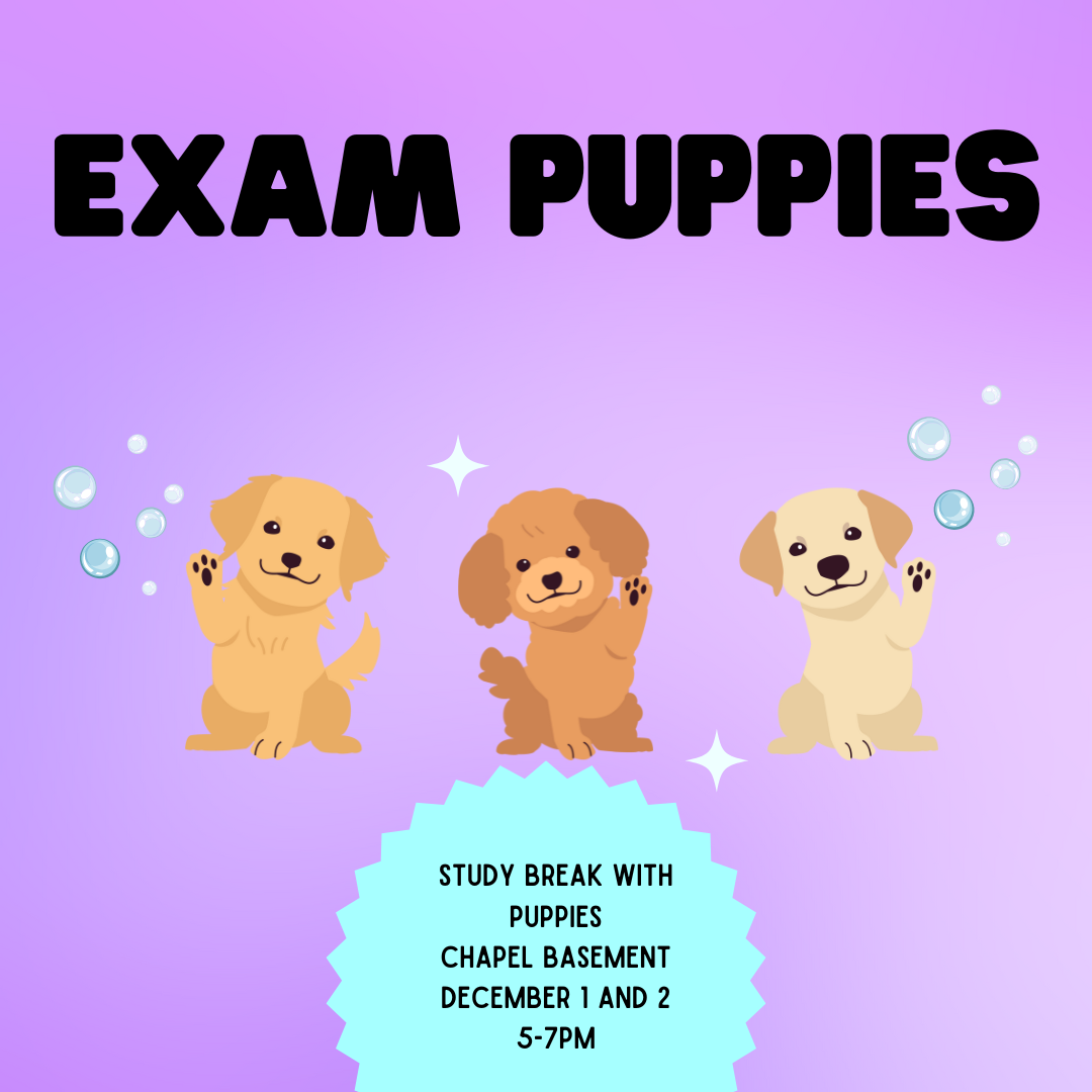 Flyer with “EXAM PUPPIES” in bold text above three cartoon puppies waving, surrounded by bubbles. Text below: “Study break with puppies. Chapel basement December 1 and 2, 5-7pm.”.