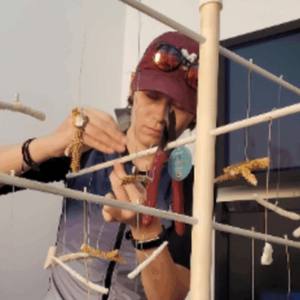 An Alma College student collects artifacts and stores them during an Alternative Break.