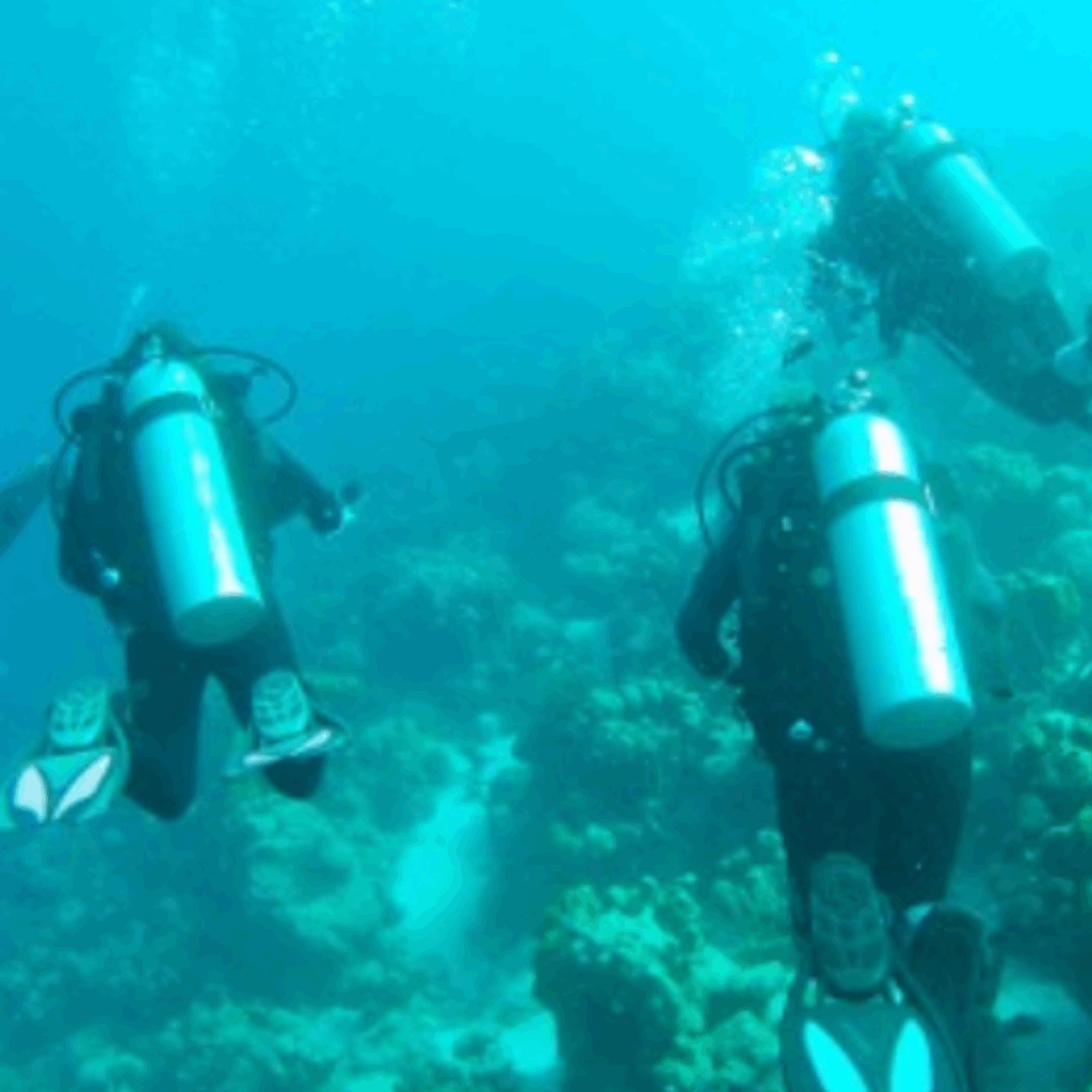 Alma College students scuba dive.