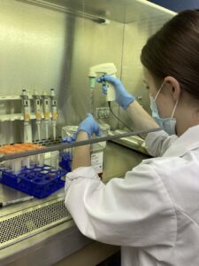 An Alma College student in a lab coat and gloves uses a pipette inside a biosafety cabinet, with test tubes and lab equipment on the metal surface. The student is also wearing a face mask for safety.