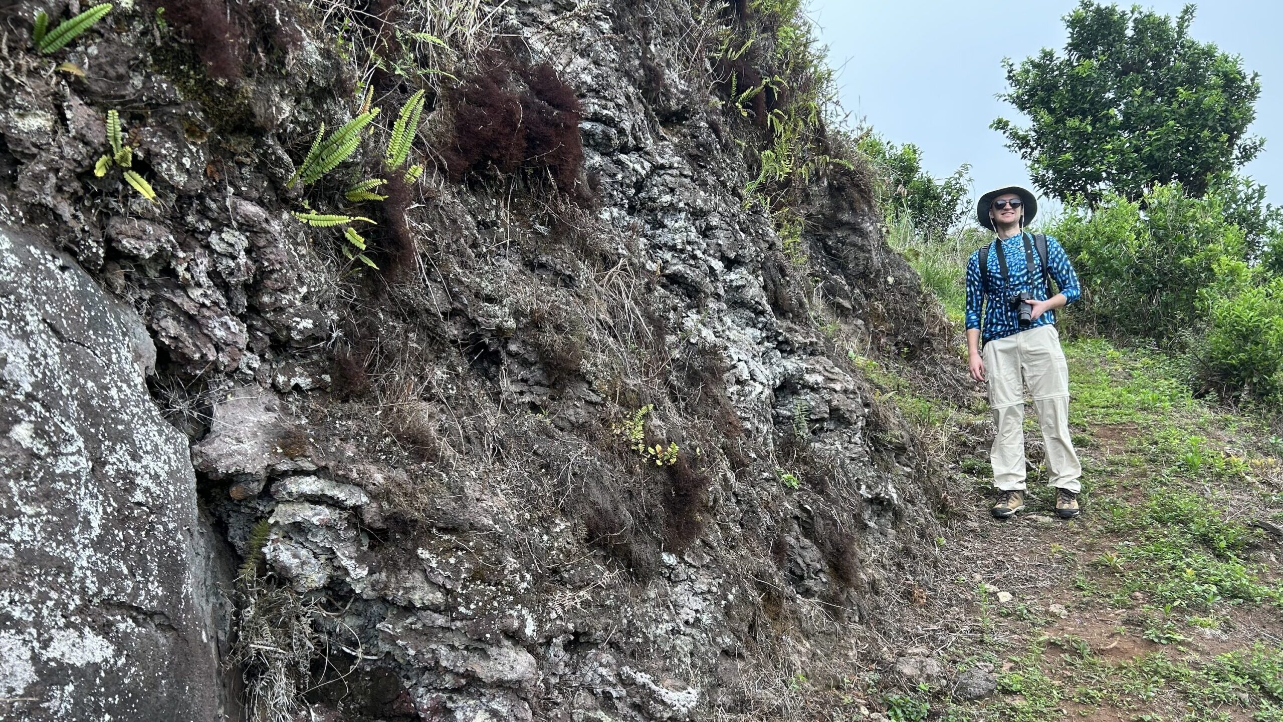 A person wearing a sunhat, sunglasses, blue shirt, and khaki pants stands on a rocky, grassy hiking trail beside a steep, rugged slope with ferns and shrubs growing from the rocks.