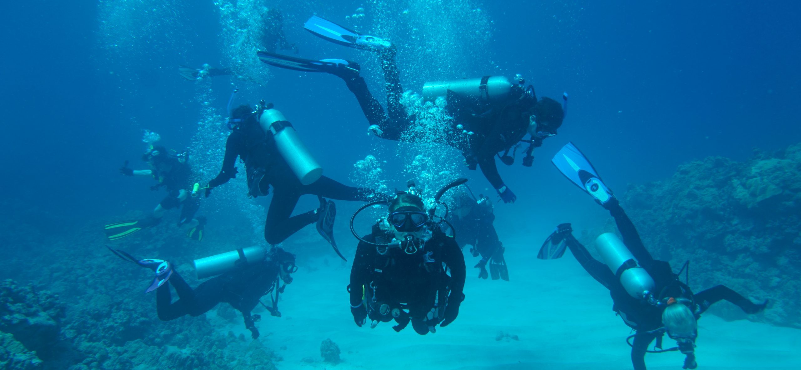 Six scuba divers swim underwater above a sandy ocean floor and coral, surrounded by bubbles, wearing wetsuits, fins, and oxygen tanks. The clear blue water offers excellent visibility—a perfect setting for a spring-term diving adventure.